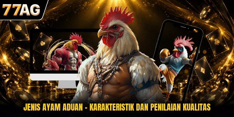 jenis-ayam-aduan-karakteristik-dan-penilaian-kualitas